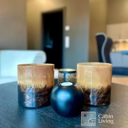 New High Standard In With In Out * Trysil