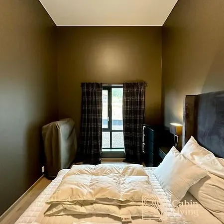 New High Standard In With In Out * Trysil