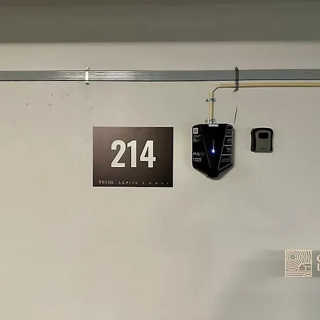 New High Standard In With In Out 트리실