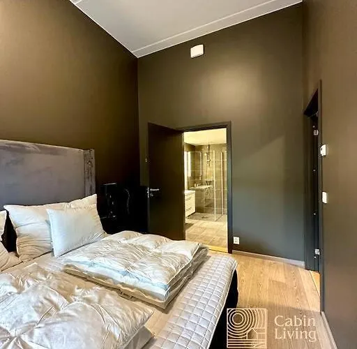 New High Standard In With In Out Trysil